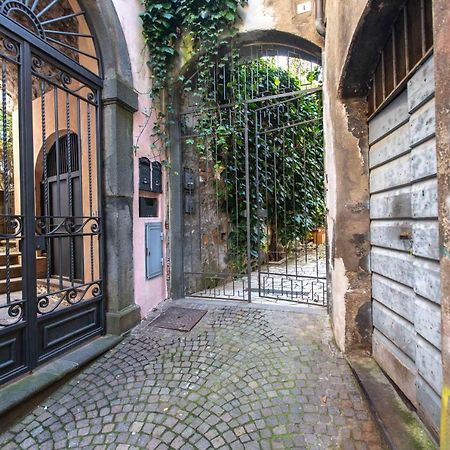 Casa Dell'Edera Διαμέρισμα Ορβιέτο Εξωτερικό φωτογραφία